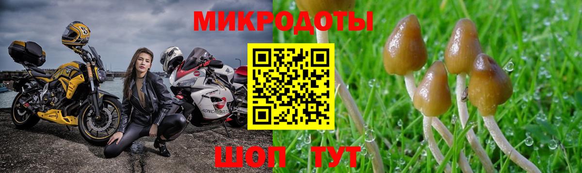 Галлюциногенные грибы Cubensis  Вход с VPN  Минусинск  Галлюциногенные грибы мухоморы 